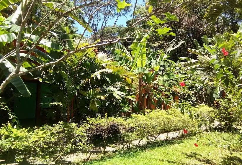 Colores Del Caribe