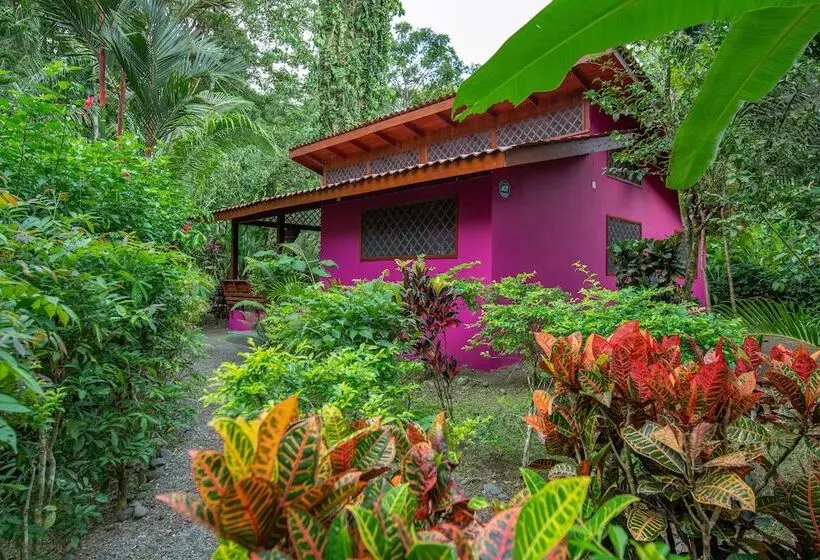 Colores Del Caribe