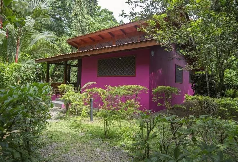 Colores Del Caribe