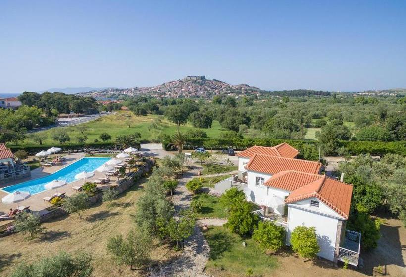 בית מלון כפרי Moongarden