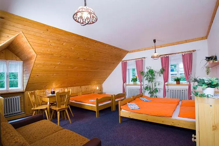 ホテル Pension Samohel