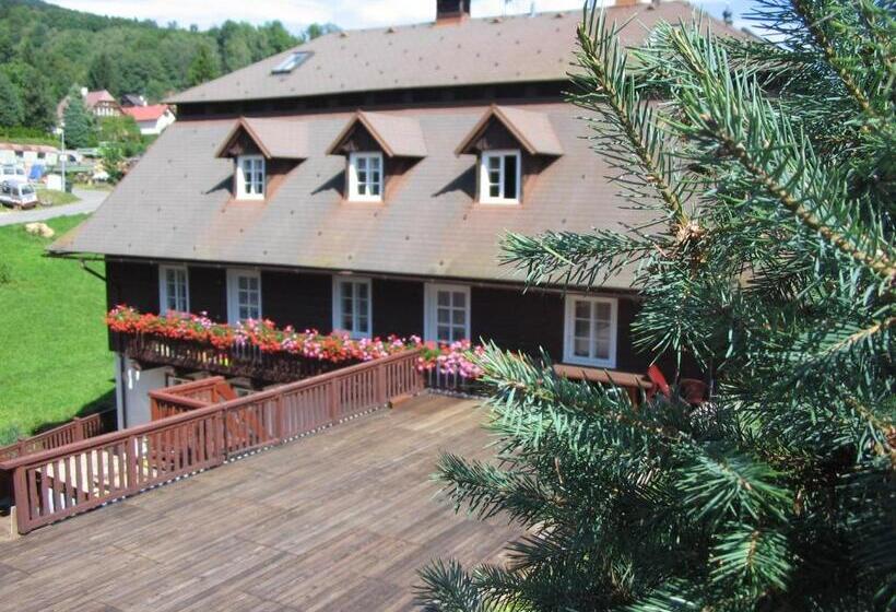 Отель Pension Samohel