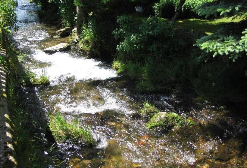 Отель Pension Samohel