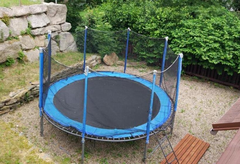 Отель Pension Samohel