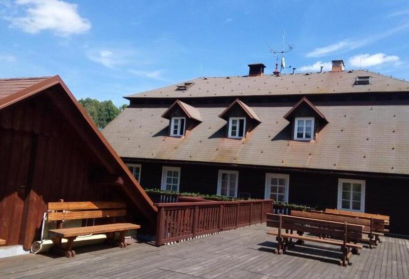 Отель Pension Samohel