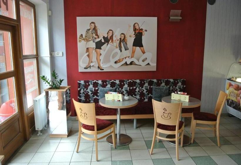 בית מלון כפרי Penzion Dena