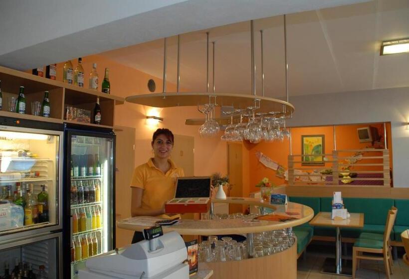 בית מלון כפרי Penzion Dena