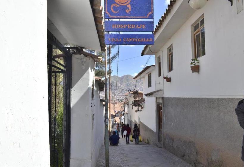 בית מלון כפרי Guest House Canta  Gallo