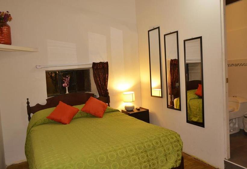 בית מלון כפרי Guest House Canta  Gallo