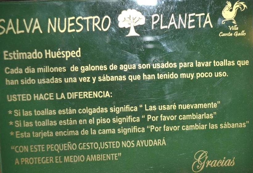 בית מלון כפרי Guest House Canta  Gallo