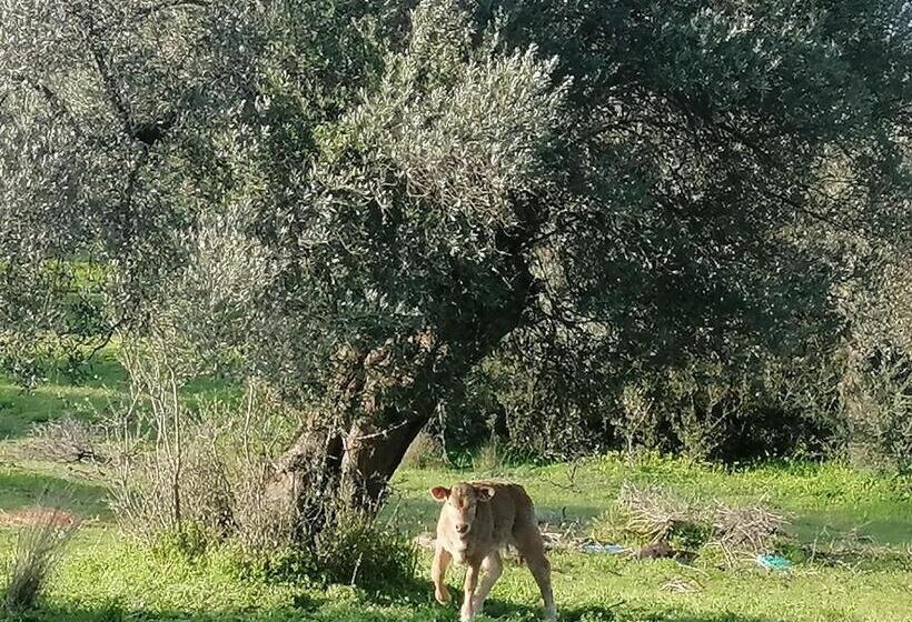 ホテル Villa Costas Popi