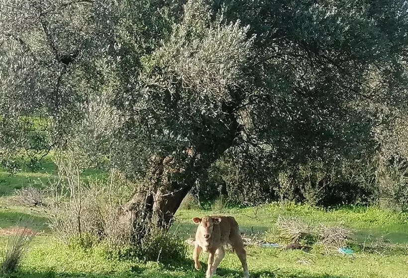 Hotelli Villa Costas   Popi