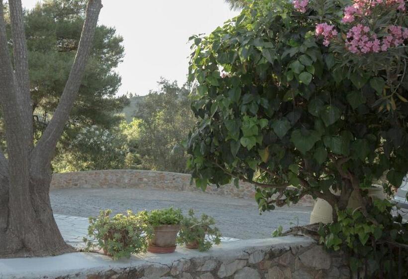 ホテル Villa Elpiniki