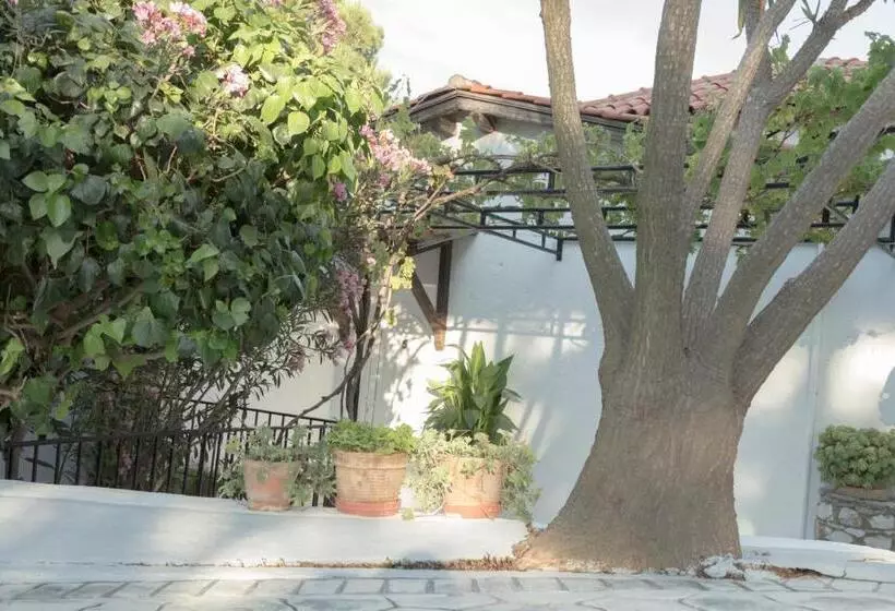 ホテル Villa Elpiniki