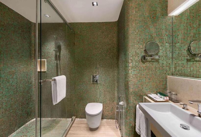 هتل Wyndham Ahmedabad Shela