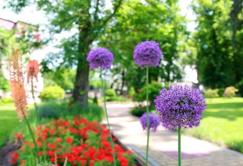 Hotel Bristol Georgy House