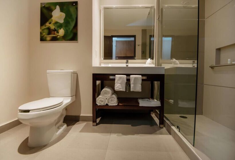 هتل Hilton Garden Inn Puebla Angelópolis, Mexico