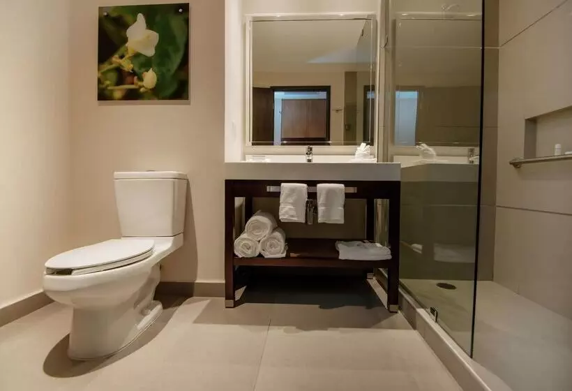 Hotelli Hilton Garden Inn Puebla Angelópolis, Mexico