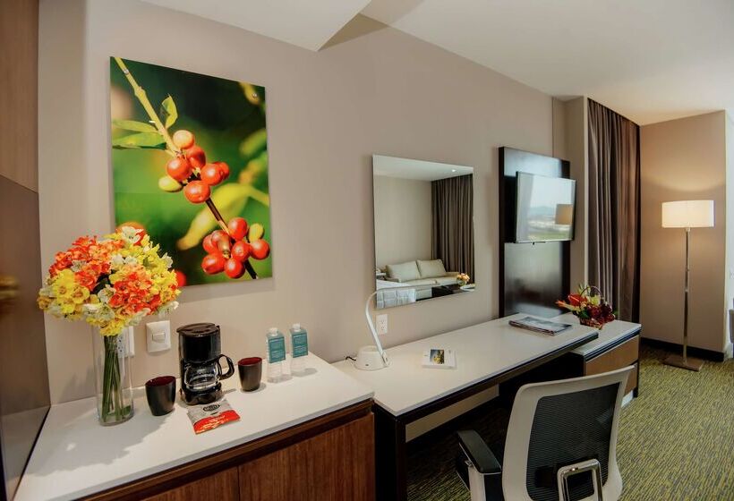 هتل Hilton Garden Inn Puebla Angelópolis, Mexico