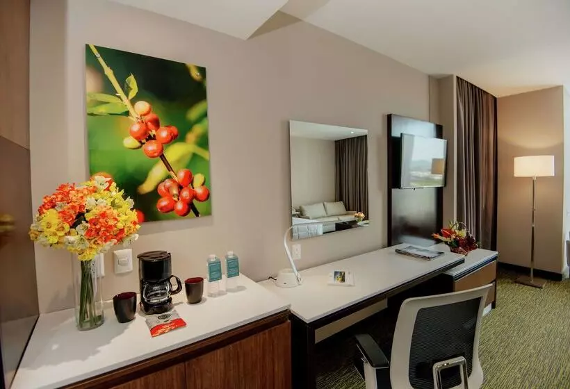 Hotelli Hilton Garden Inn Puebla Angelópolis, Mexico