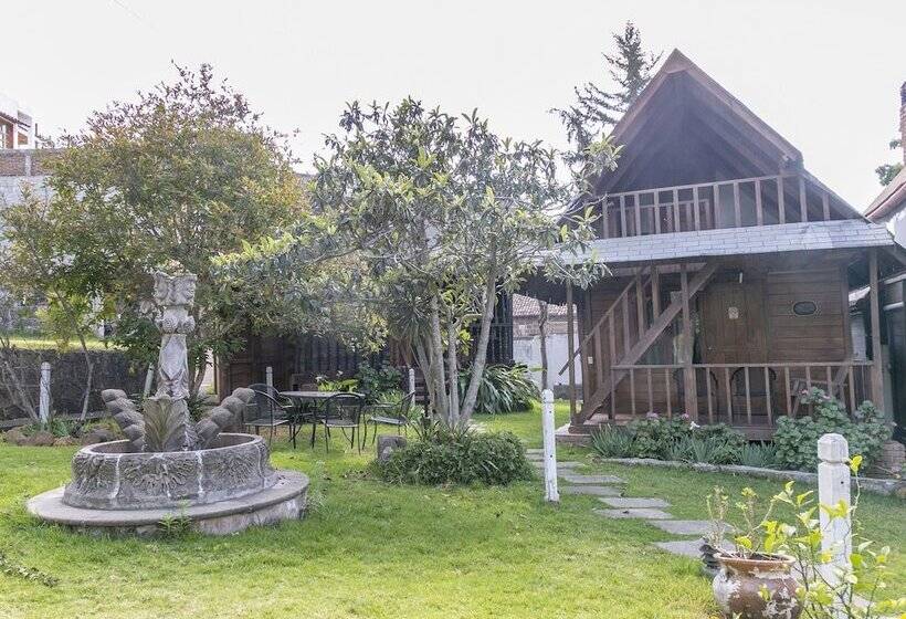 هتل Mansion Del Virrey