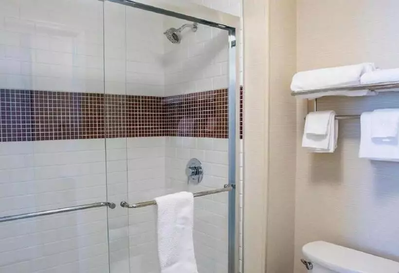 ホテル Staybridge Suites Denver Downtown, An Ihg