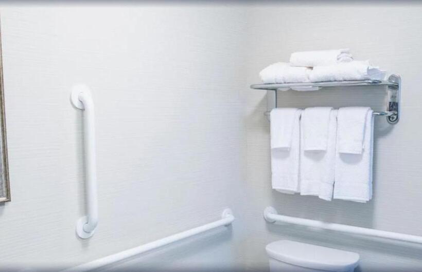 Hotel Staybridge Suites Denver Downtown, An Ihg