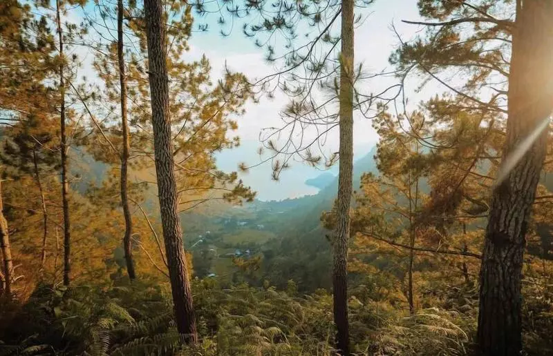 Hotelli Bobocabin Signature Toba