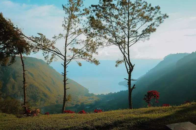 Hotelli Bobocabin Signature Toba