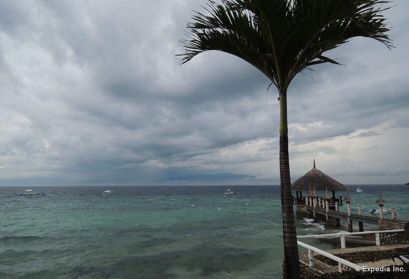 Asian Belgian Resort