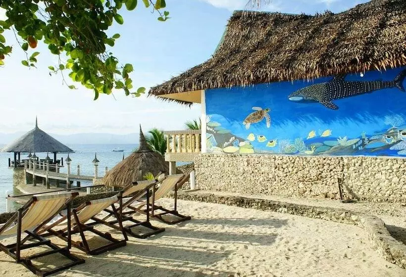 Asian Belgian Resort
