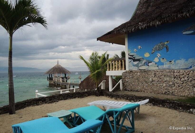 Asian Belgian Resort