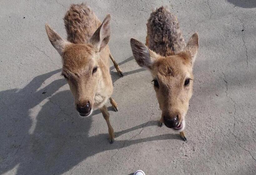 تختخواب و صبحانه Good Mood Cottage