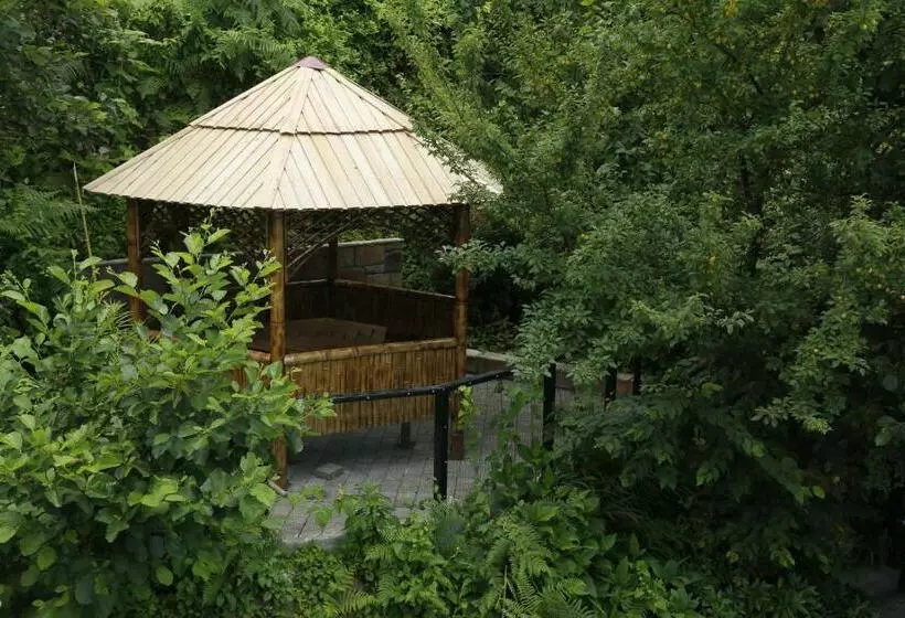 تختخواب و صبحانه Mount Villa Kvariati