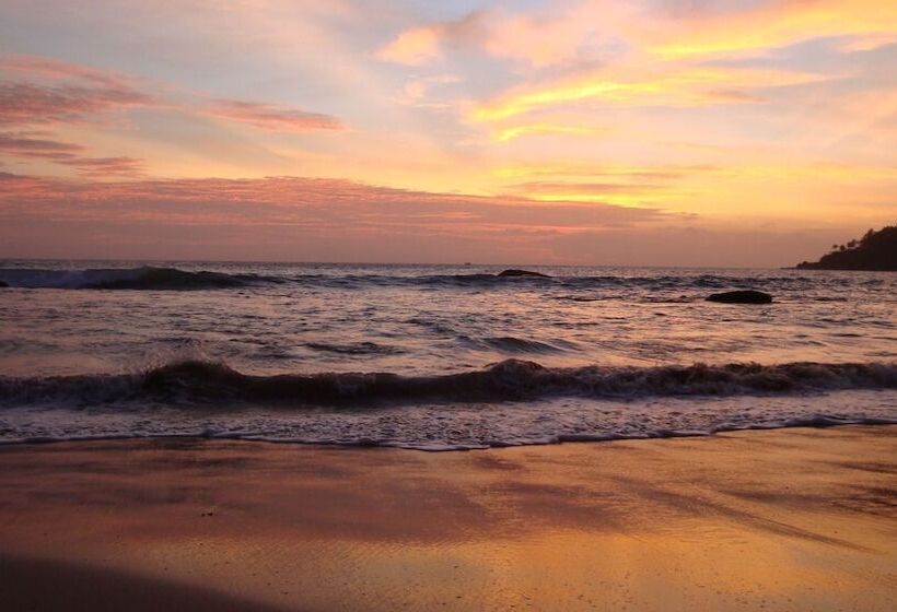 호텔 Mirissa Beach Inn