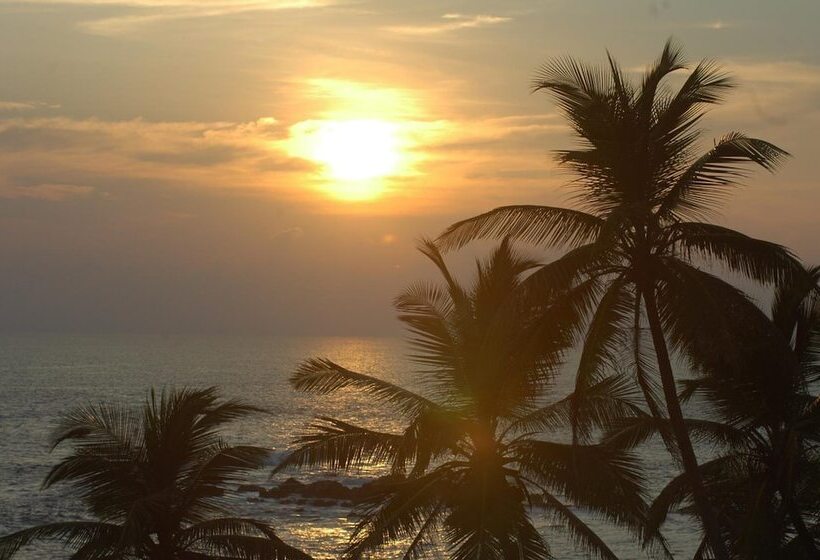 호텔 Mirissa Beach Inn