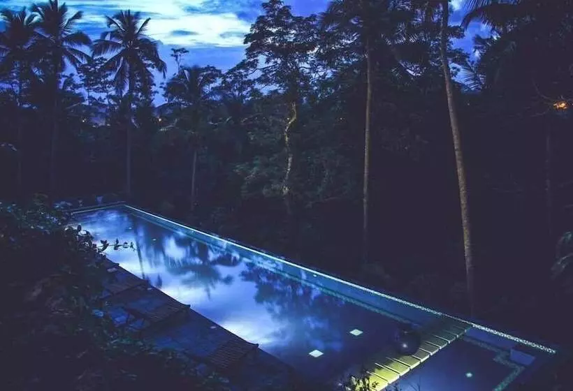 ホテル Templeberg Villa