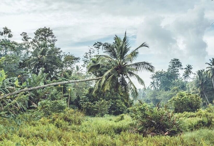 בית מלון כפרי Templeberg Villa