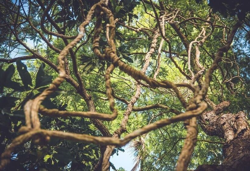 בית מלון כפרי Templeberg Villa