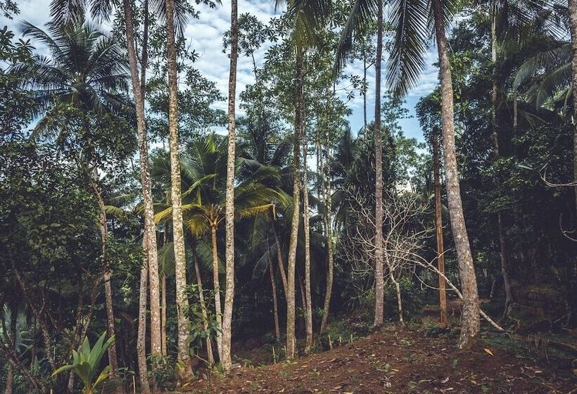 בית מלון כפרי Templeberg Villa