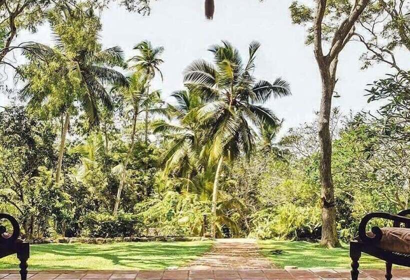 בית מלון כפרי Templeberg Villa