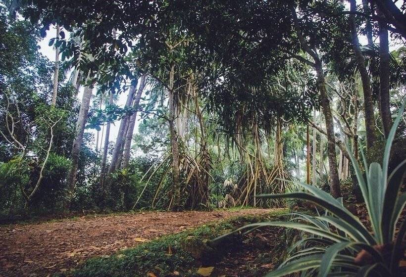 בית מלון כפרי Templeberg Villa