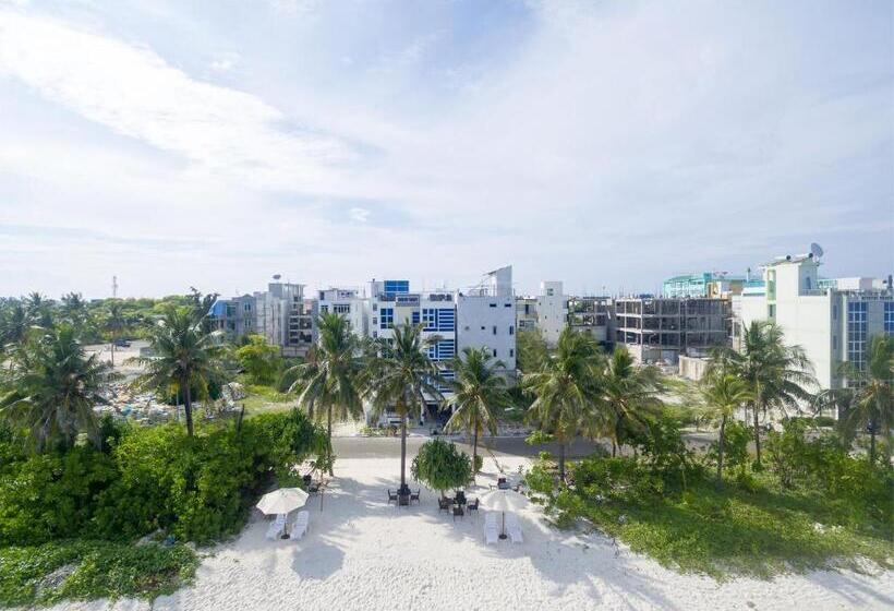 هتل Whiteharp Beach Inn