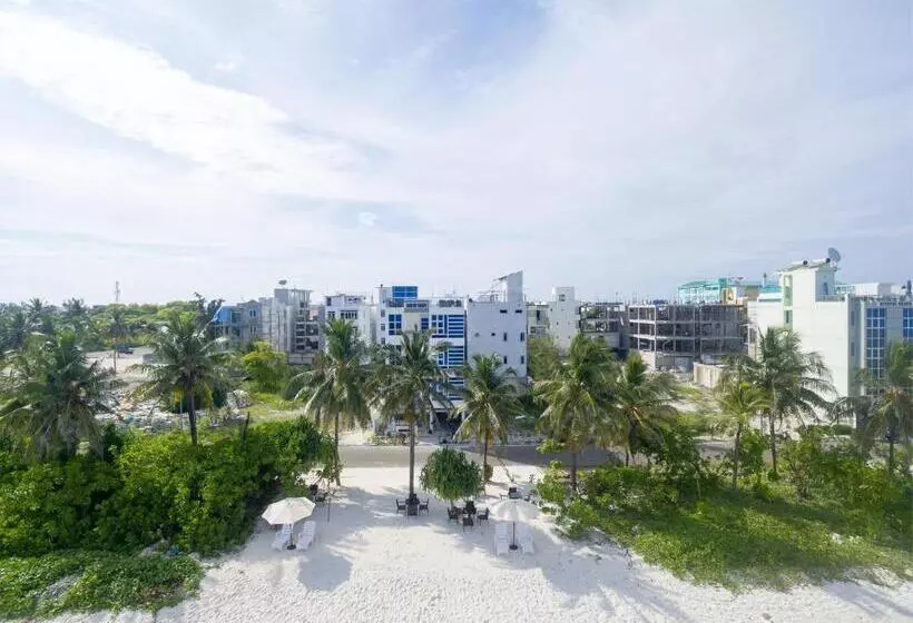 هتل Whiteharp Beach Inn