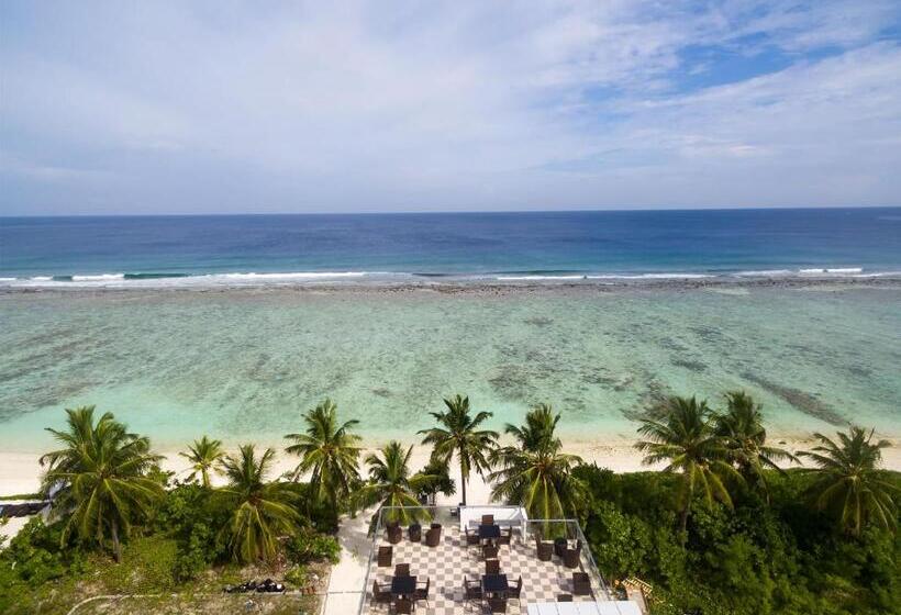 هتل Whiteharp Beach Inn