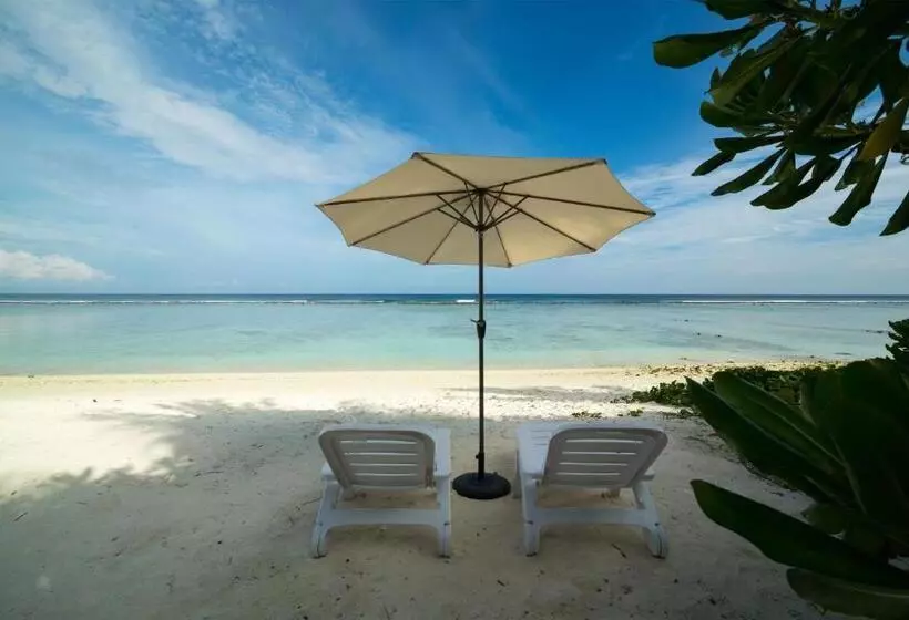 هتل Whiteharp Beach Inn