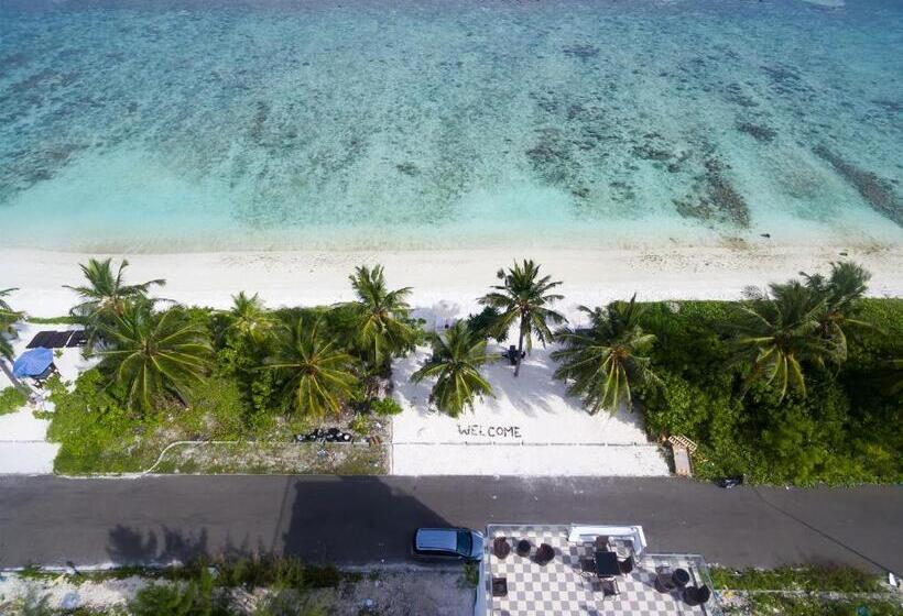 هتل Whiteharp Beach Inn