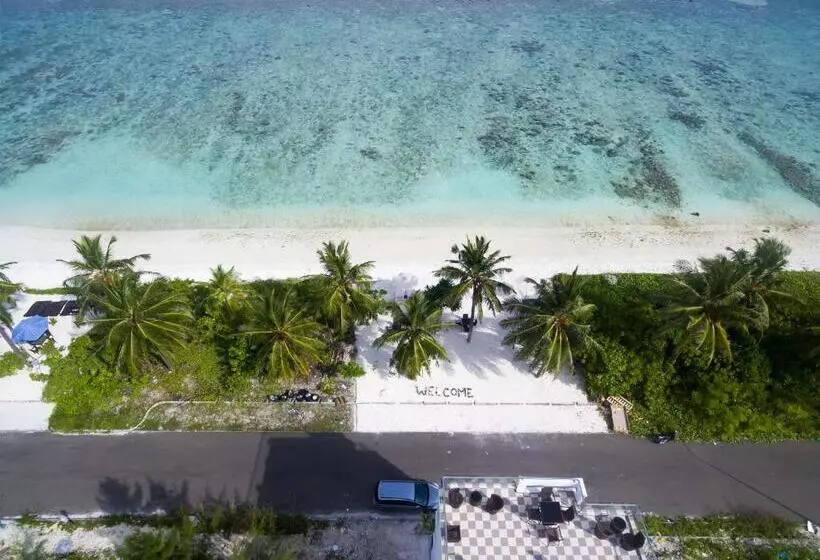 هتل Whiteharp Beach Inn