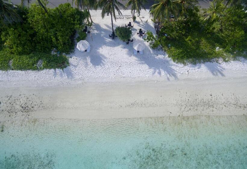 هتل Whiteharp Beach Inn
