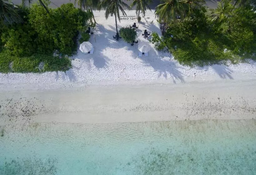 هتل Whiteharp Beach Inn
